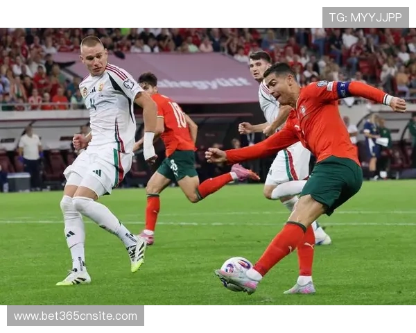 365足球娱乐官网入口，畅享每日精彩足球赛事尽在指尖